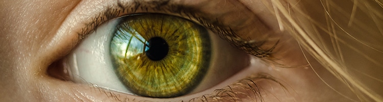 Close-Up of Woman's Eye